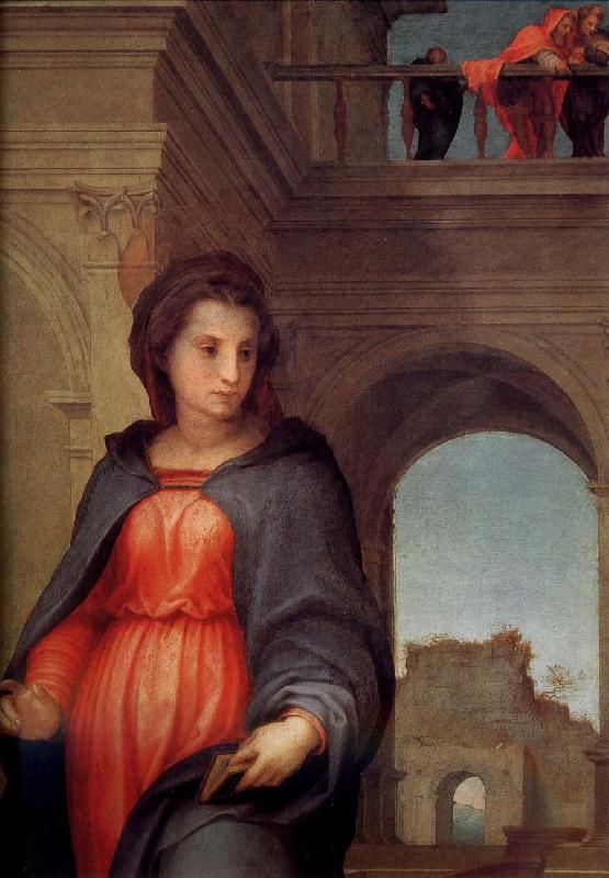 Andrea del Sarto Announce in detail